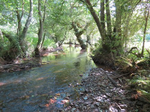2.-Down-stream-from-Tucks-Bridge