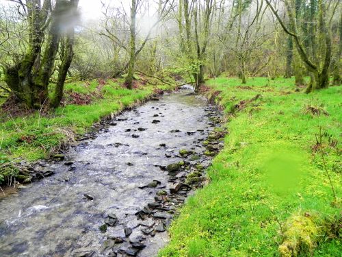 2.-Downstream-from-A39-Culvert-2