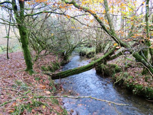 2.-Downstream-from-Beer-Lane-Ford-10