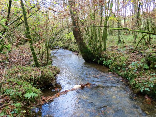 2.-Downstream-from-Beer-Lane-Ford-11