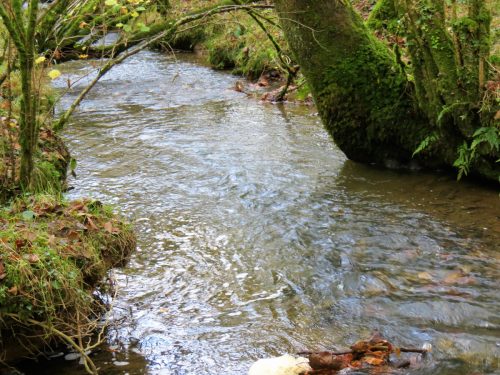 2.-Downstream-from-Beer-Lane-Ford-12