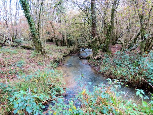 2.-Downstream-from-Beer-Lane-Ford-8