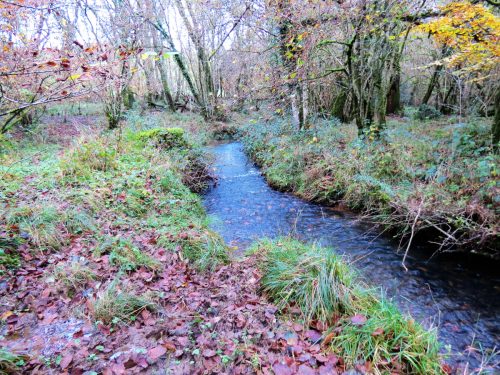 2.-Downstream-from-Beer-Lane-Ford-9