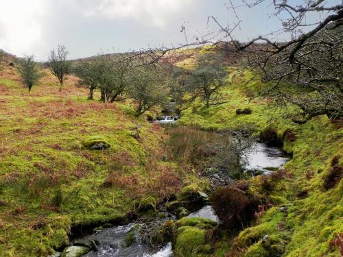 2.-Downstream-from-Colley-Water-2