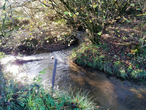 2.-Downstream-from-Harriford-Bridge-4