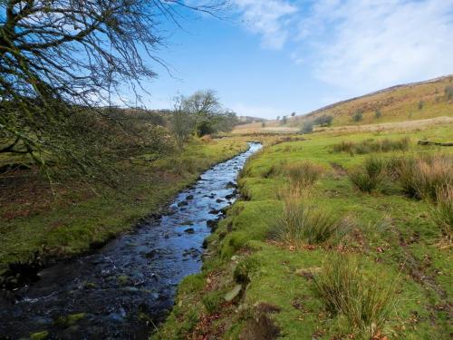 2.-Downstream-from-Hoar-Oak-Tree-2