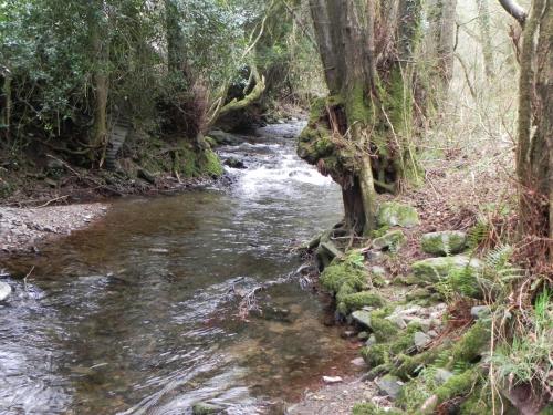 2.-Downstream-from-Horner-Packhorse-Bridge