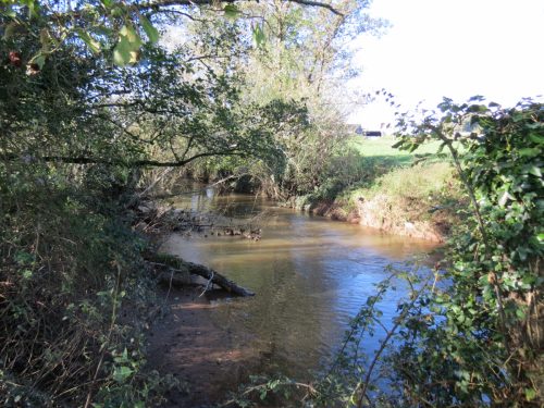 2.-Downstream-from-Hornshay-Bridge-2