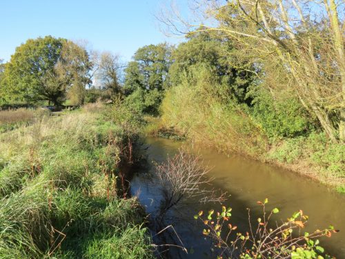 2.-Downstream-from-Hornshay-Bridge-6