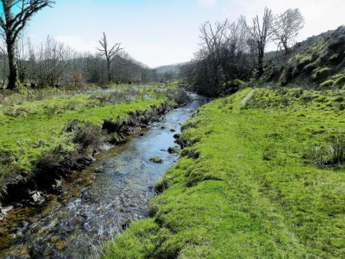 2.-Downstream-from-Lower-Willingford-Bridge-3