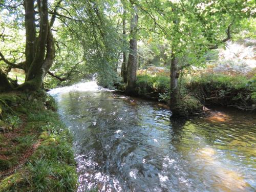 2.-Downstream-from-Lyncombe-below-Road-Hill-14