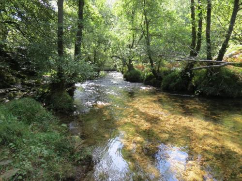 2.-Downstream-from-Lyncombe-below-Road-Hill-18