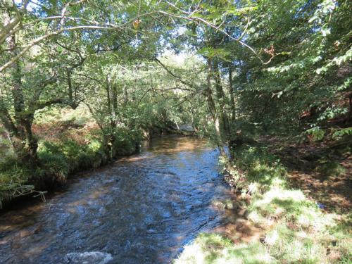 2.-Downstream-from-Lyncombe-below-Road-Hill-19