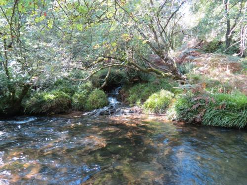 2.-Downstream-from-Lyncombe-below-Road-Hill-20