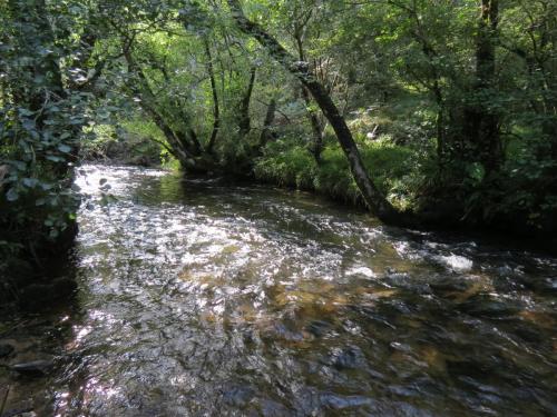 2.-Downstream-from-Lyncombe-below-Road-Hill-21