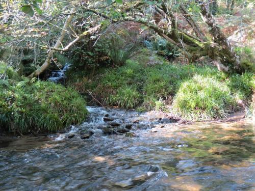 2.-Downstream-from-Lyncombe-below-Road-Hill-22