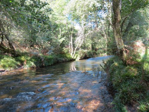 2.-Downstream-from-Lyncombe-below-Road-Hill-23