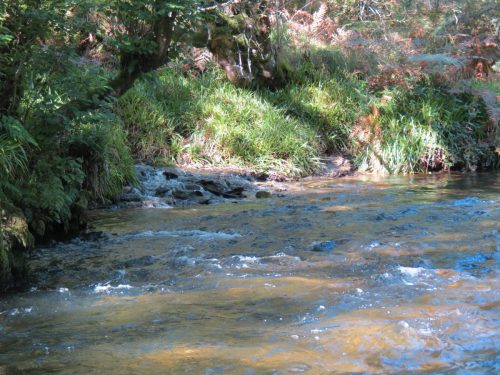2.-Downstream-from-Lyncombe-below-Road-Hill-24