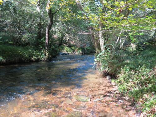 2.-Downstream-from-Lyncombe-below-Road-Hill-25