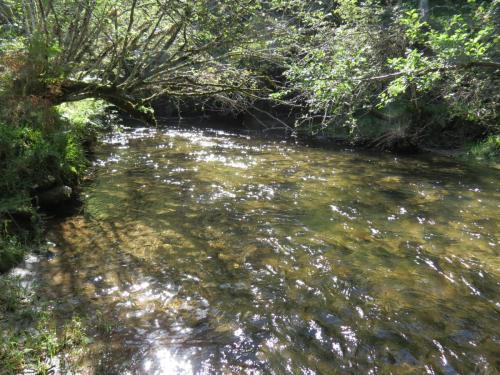 2.-Downstream-from-Lyncombe-below-Road-Hill-26