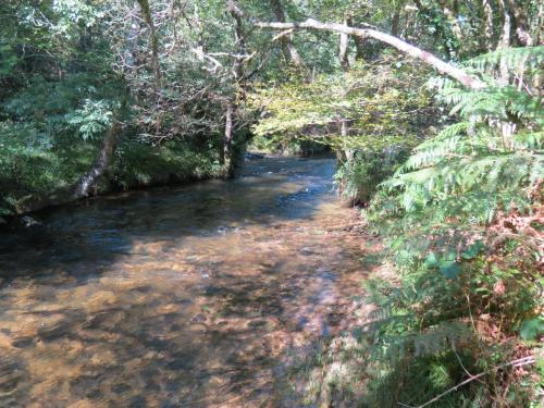 2.-Downstream-from-Lyncombe-below-Road-Hill-27