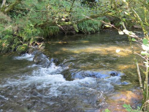 2.-Downstream-from-Lyncombe-below-Road-Hill-28