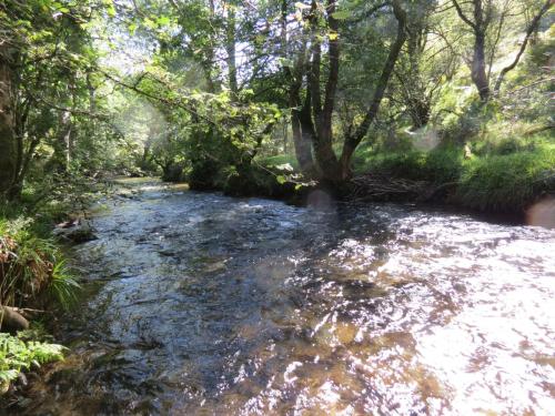 2.-Downstream-from-Lyncombe-below-Road-Hill-30