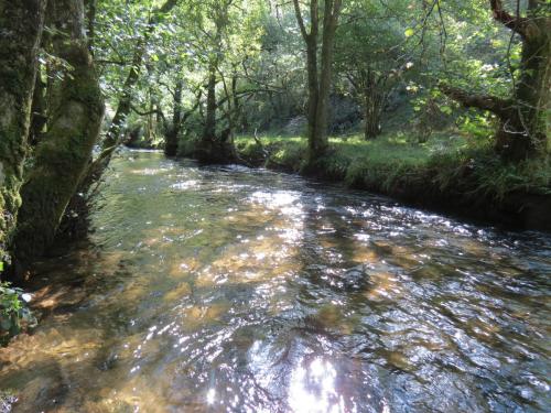 2.-Downstream-from-Lyncombe-below-Road-Hill-31