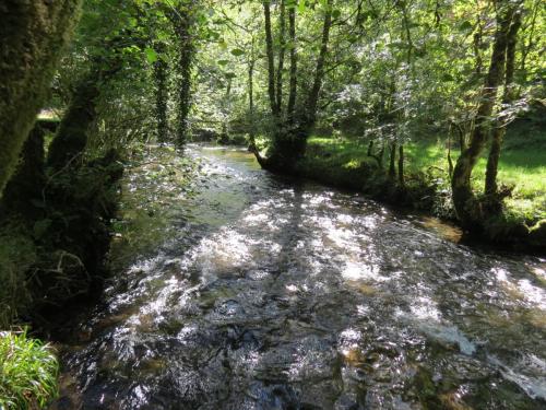 2.-Downstream-from-Lyncombe-below-Road-Hill-32