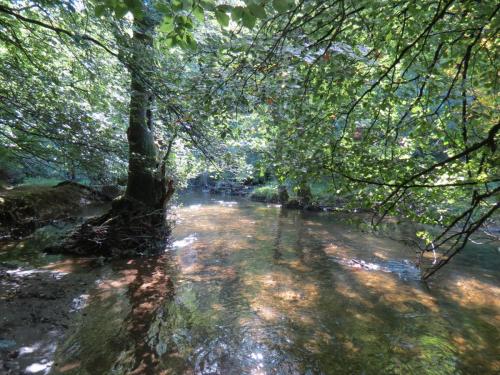 2.-Downstream-from-Lyncombe-below-Road-Hill-33