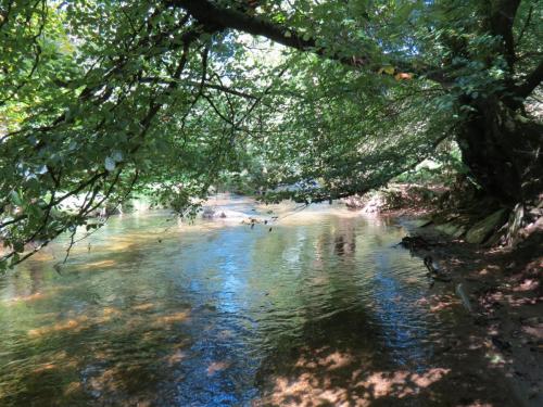 2.-Downstream-from-Lyncombe-below-Road-Hill-34