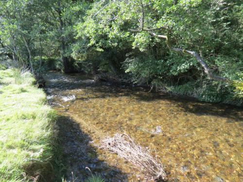 2.-Downstream-from-Lyncombe-below-Road-Hill-6