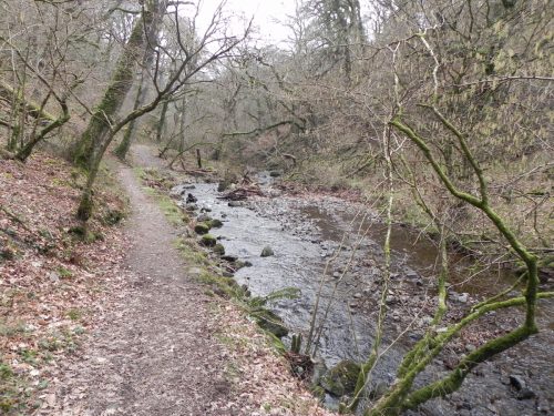 2.-Downstream-from-Pool-Bridge