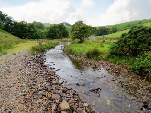 2.-Downstream-from-Sparcombe-Water-7