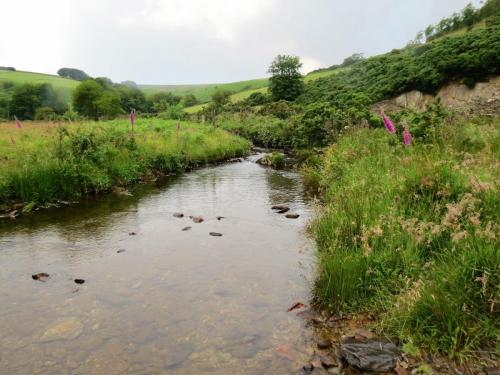 2.-Downstream-from-Sparcombe-Water-8