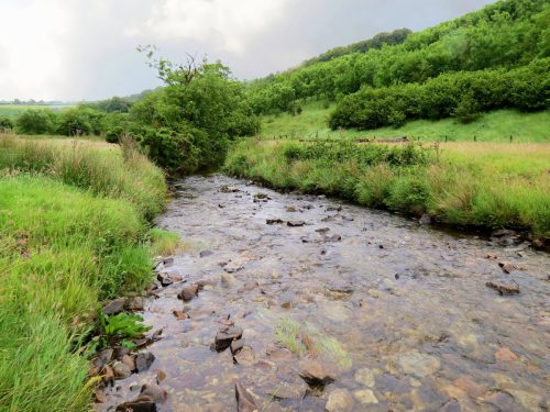 2.-Downstream-from-Sparcombe-Water-9