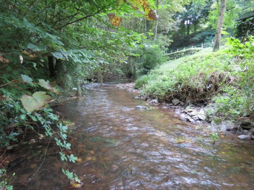 2.-Downstream-from-Waterrow-Bridge