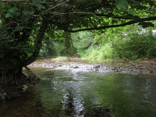 2.-Downstream-from-Week-Bridge-2