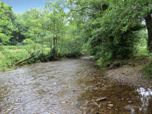 2.-Downstream-from-Week-Bridge-5