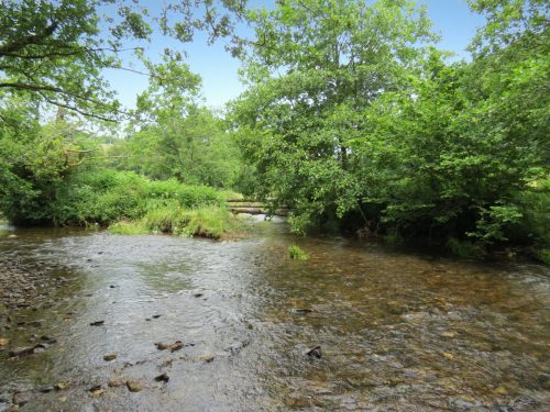 2.-Downstream-from-Week-Bridge-6