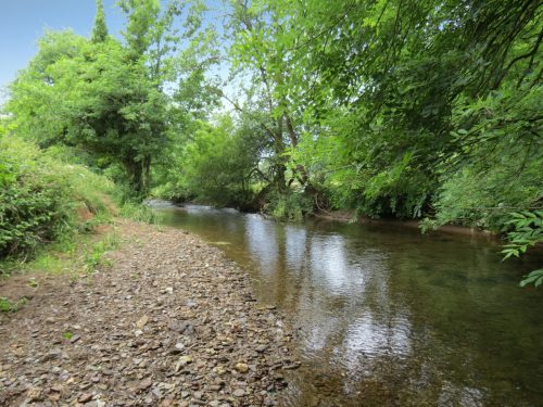 2.-Downstream-from-Week-Bridge-8
