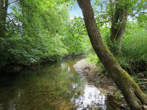 2.-Downstream-from-Week-Bridge-9
