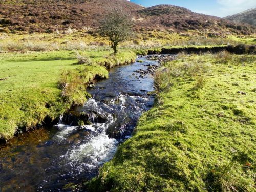 2.-Downstream-from-confluence-with-Embercombe-Water-2