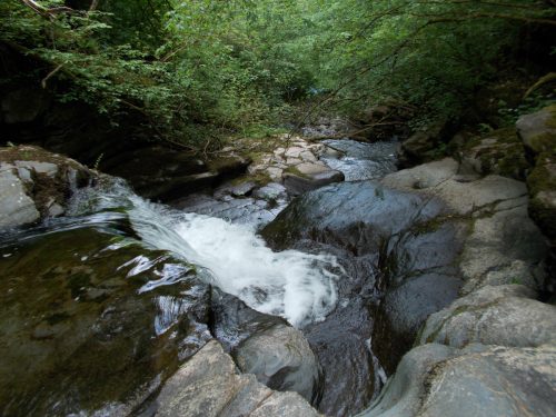 2.-Downstream-from-hydro-electric-intake-3