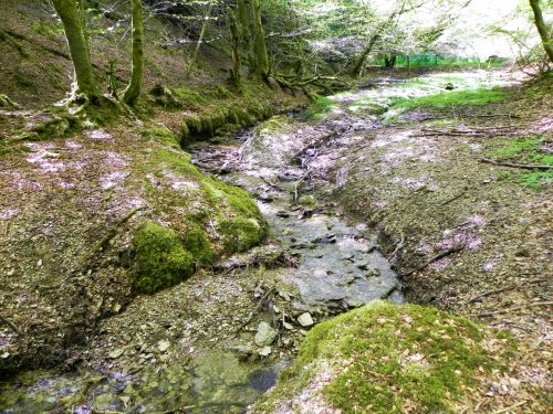 2.-Flowing-down-Kennisham-Hill-3