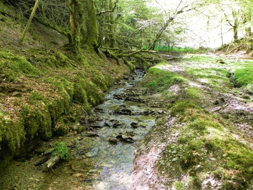 2.-Flowing-down-Kennisham-Hill-4