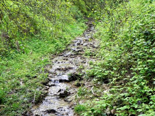 2.-Flowing-down-Sminhays-20 (1)