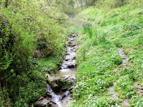 2.-Flowing-down-Sminhays-24 (1)