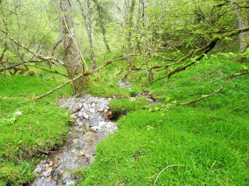 2.-Flowing-through-Lype-Brake-24