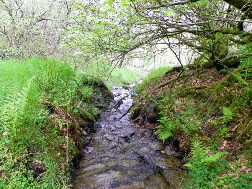 2.-Flowing-through-Lype-Brake-26